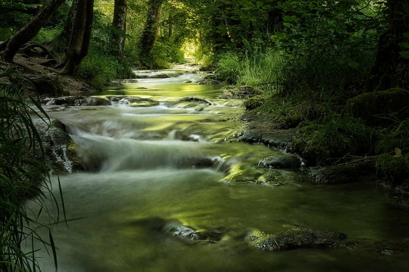 Mystical Lights